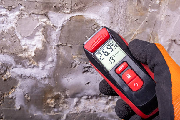 Home Mold Removal in Galion, OH