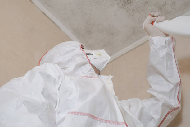 Best Home Mold Removal  in Galion, OH