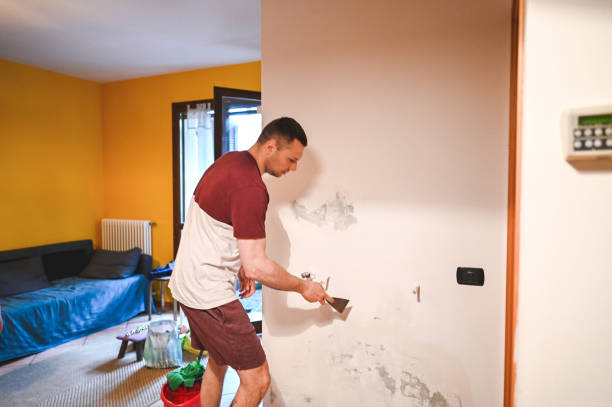 Best Home Mold Removal  in Galion, OH