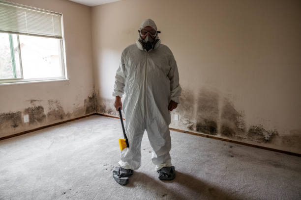 Best Toxic Mold Removal  in Galion, OH